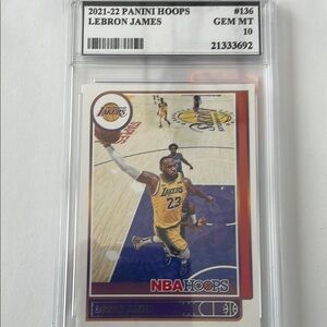 Panini NBA Hoops LeBron James Trading Card